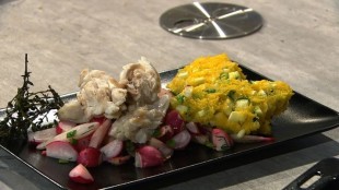 Fisch in Salzkruste mit Polentaschnitten und warmen Radieschen-Salat