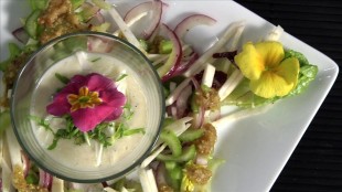 Salat und Suppe vom Sellerie